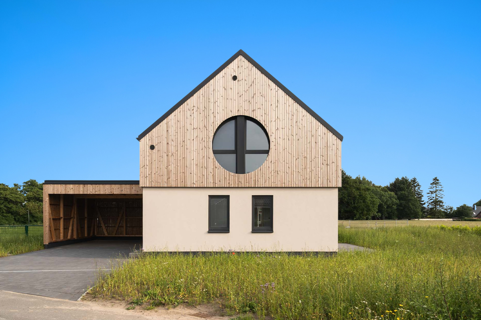 Blauer Himmel Petunienstieg