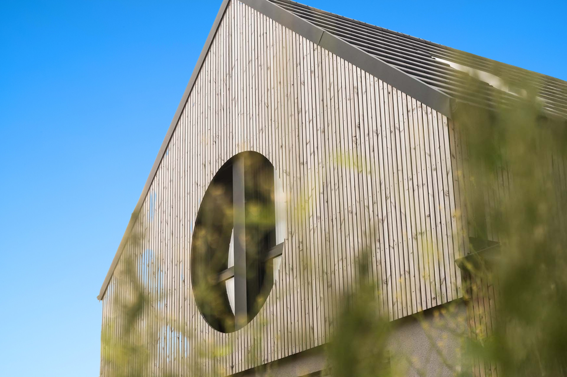 Blauer Himmel Petunienstieg 2