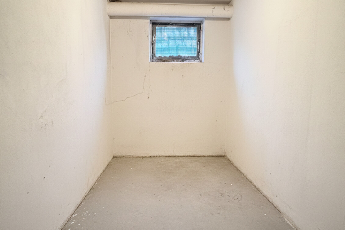 Gemini_Generated_Image_py9ez8py9ez8py9e