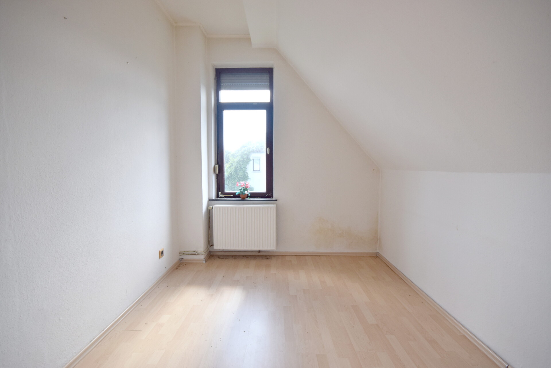 Foto der Immobilie (10721)